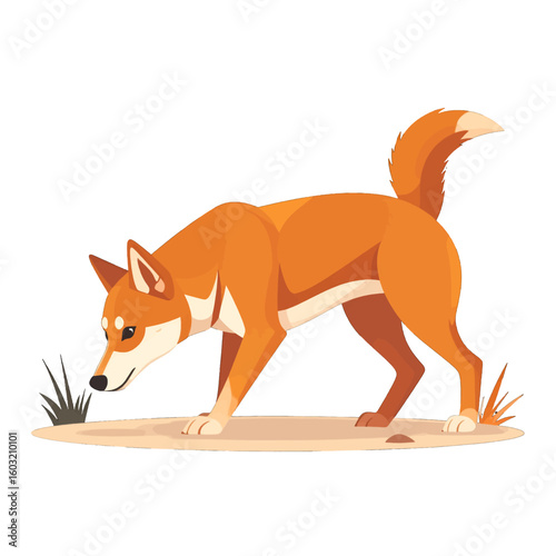 Orange Dingo Illustration Looking At Grass