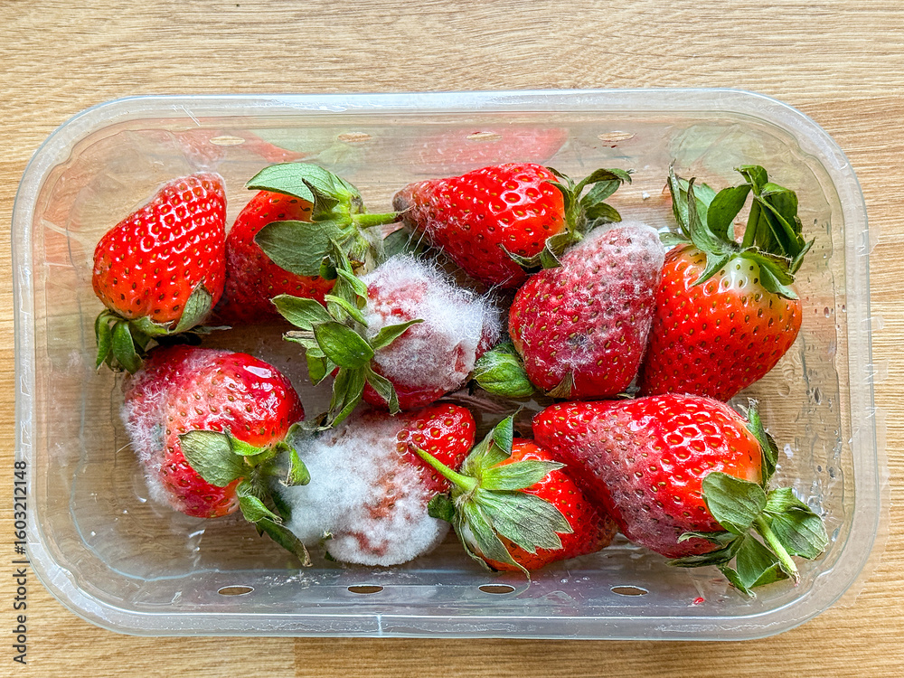 Ταπετσαρία Close up view of a punnet of strawberries with mould growing on the surface