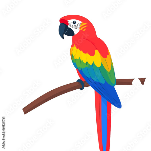 Colorful Macaw Parrot Perched On Branch