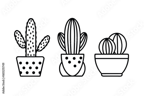 Cactus Set With Bohemian Style Planters Vector