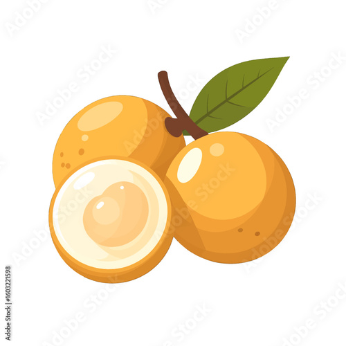 Two Whole And One Half Orange Fruit On Stem With Green Leaf Illustration