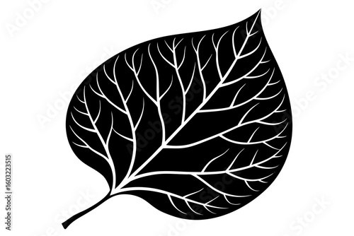 Detailed Leaf Vein Structure: Botanical Nature & Art Icon