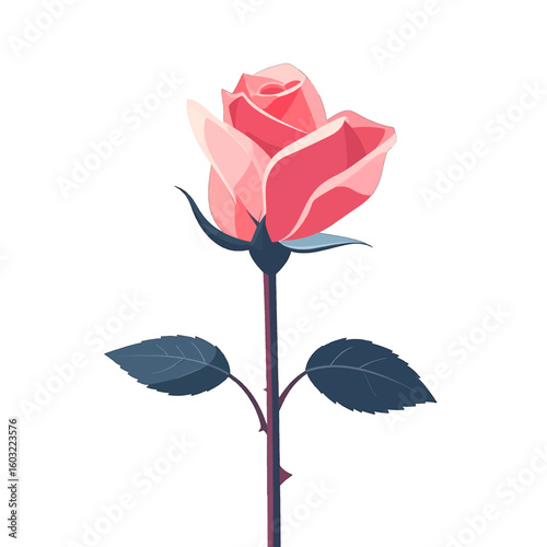 Pink Rose Illustration On White Background