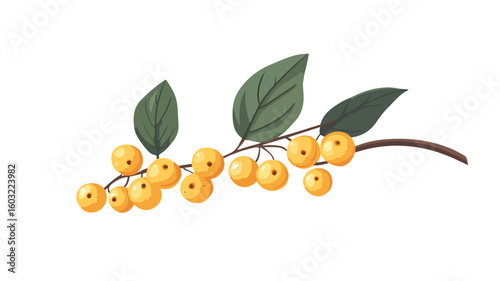 Vibrant Sea Buckthorns Growing on Branch with Fresh Leaves