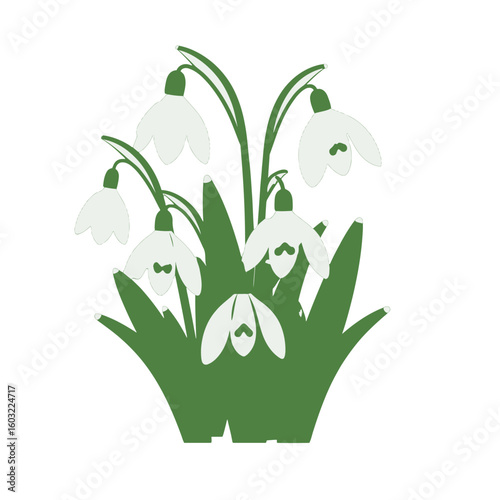 Stylized Snowdrop Illustration Against White Background