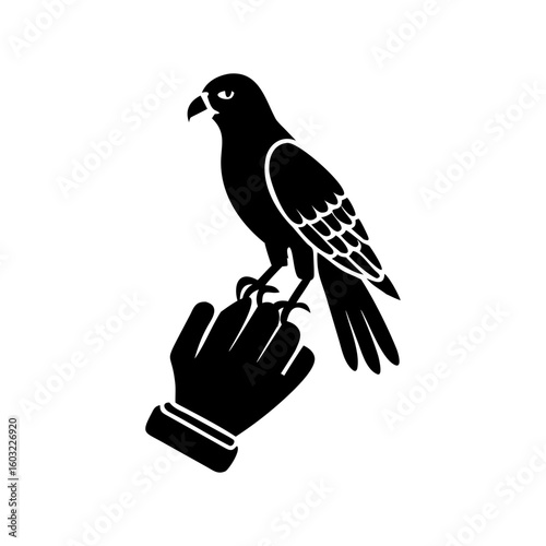 a trained falcon perched on a gloved human hand