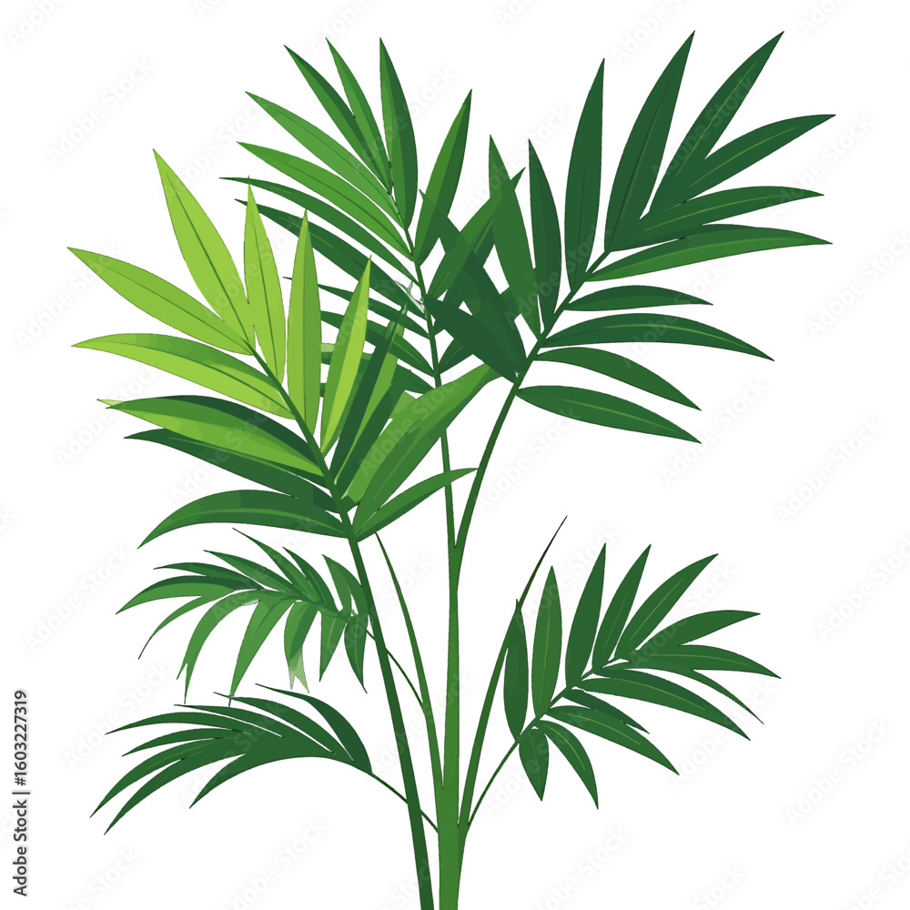Fototapeta premium Tropical Palm Tree Illustration