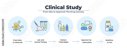 Color infographic banner with icon set for clinical study and drug development. From molecule to patient treatment, this medical vector shows each test and approval phase.