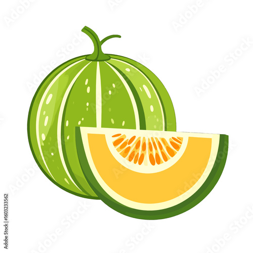 Green Watermelon With Yellow Slice Illustration
