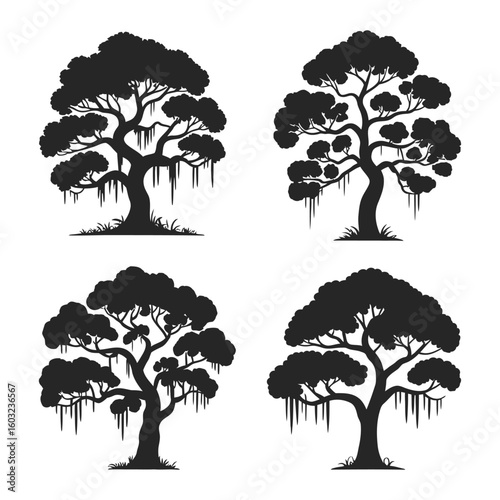 Cypress trees and spanish moss silhouettes