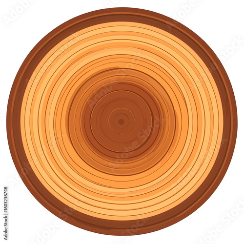 Detailed Wood Cross Section