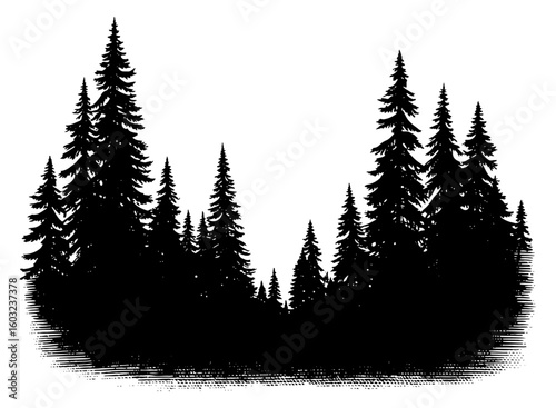 Evergreen trees in a woodcut style silhouette, in black and white