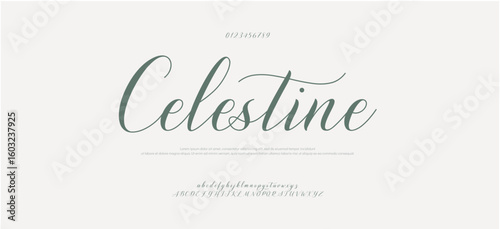 Signature Font Uppercase Lowercase and Number. Calligraphy Logotype Script Brush Font Type Font lettering handwritten. vector illustration 

