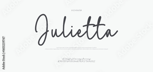 Hand drawn Font Uppercase Lowercase and Number. Modern monoline signature script font. Elegant Signature Font. Best Alphabet Beautiful Calligraphy Signature Font. vector illustration 
