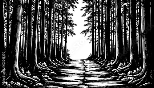 Forest path in woodblock print style, in black and white, leading towards a bright clearing.