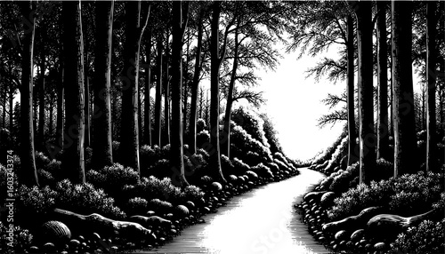 Forest path in black and white, Woodblock print style