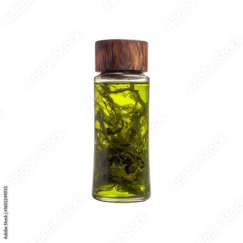 Seaweed Infused Oil in Glass Bottle with Wooden Cap