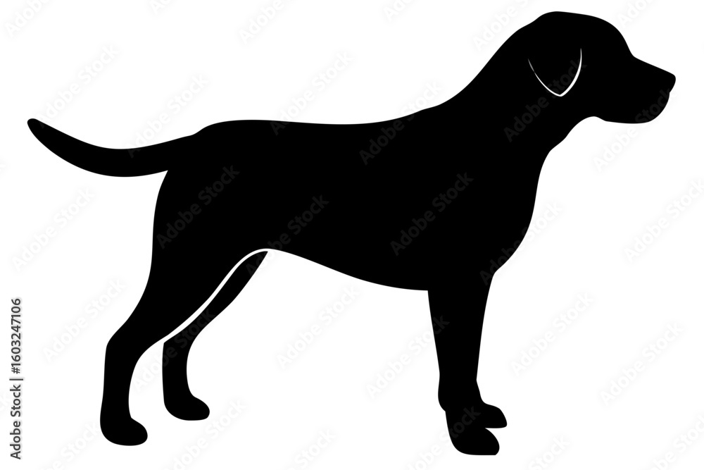 Naklejka premium Brown Labrador Dog Silhouette Standing animal