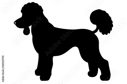 Brown Poodle Dog Silhouette animal