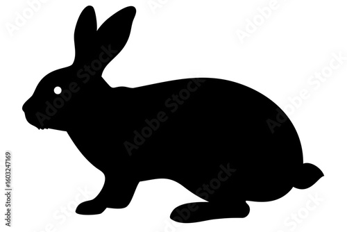 Flemish Giant Rabbit Silhouette on White Background