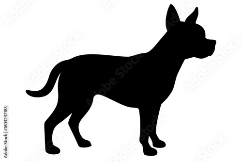 Giant Chihuahua Dog Silhouette animal