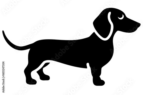 Mini dachshund dog silhouette on white background animal