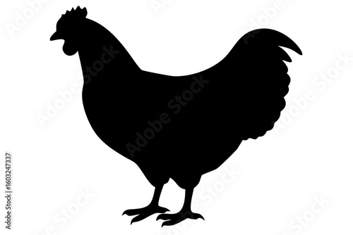 Orpington Chicken Silhouette poultry fowl