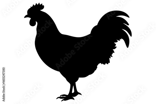 Rhode Island Red Chicken Silhouette poultry bird
