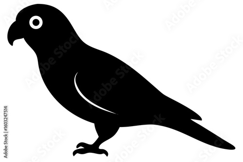 Silhouette of two lovebirds perched together couple