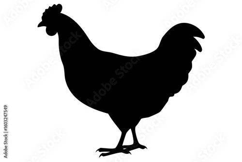 Sussex Chicken Silhouette poultry bird