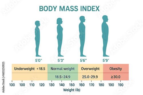 Male body mass index, a vector fitness chart with bmi scale and silhouettes