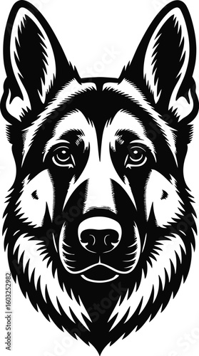 German Shepherd dog face black and white canine animal