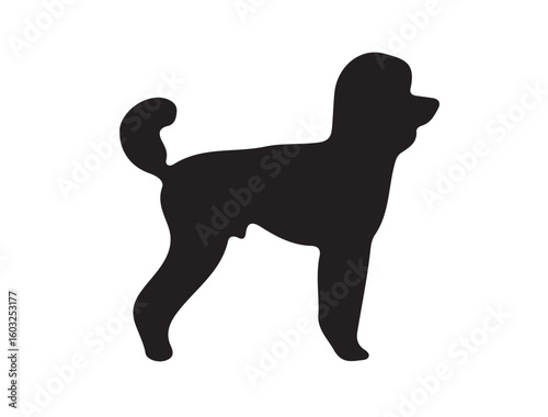  Poodle dog in silhouette on white isolated