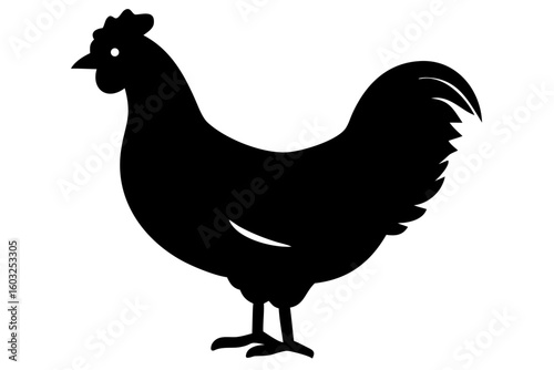 Brahma Chicken Silhouette poultry bird