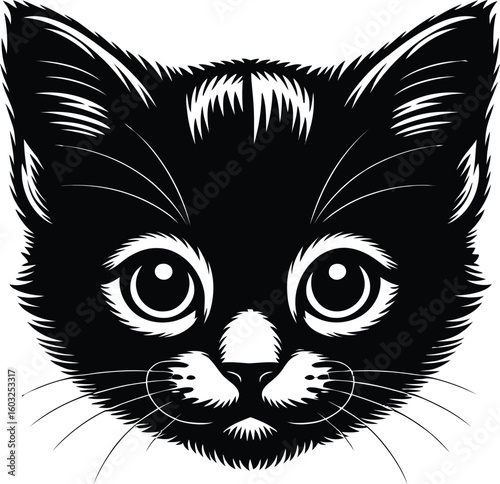Black kitten face animal