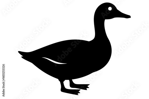 Cayuga Duck Silhouette on White Background bird waterfowl