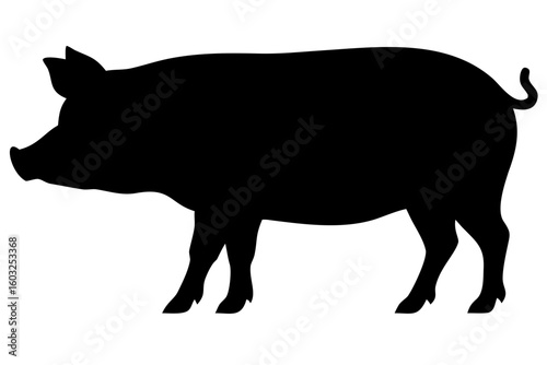 Landrace Pig Silhouette on White Background animal