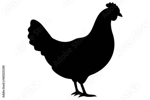 Leghorn Chicken Silhouette poultry bird