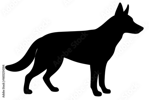Albino German Shepherd Dog Silhouette white dog animal silhouette