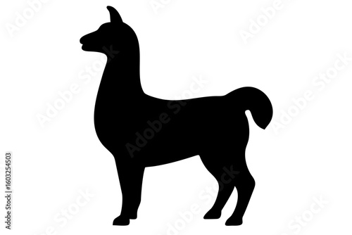 Silhouette of a llama standing animal mammal