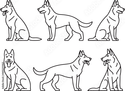 German shepherd dog line drawing illustrations in various poses set
