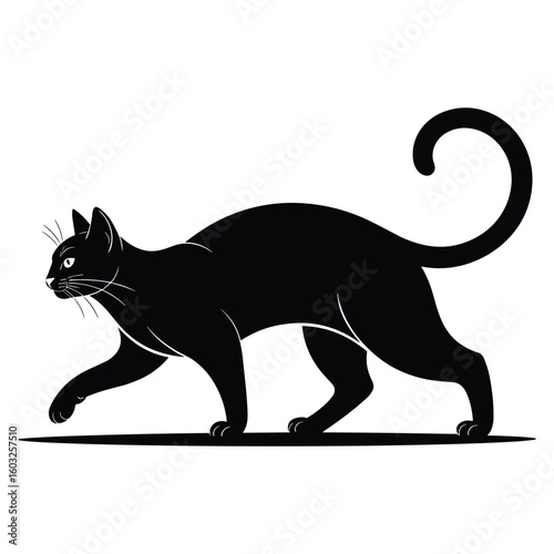 Black cat walking with tail curled high silhouette