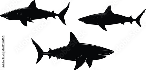 Shark Silhouette Vector Set