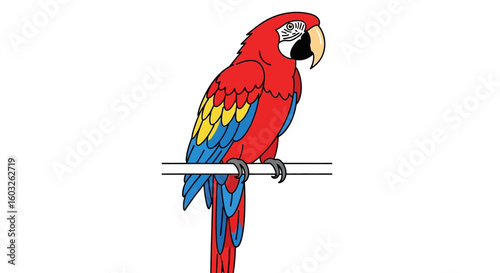 Vibrant illustration of an exotic scarlet macaw bird perched on a perch. Tropical wildlife cartoon vector isolated.
