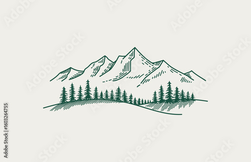 Mountain Ridge with Pine Forest.  Simple vector Line Art Illustration