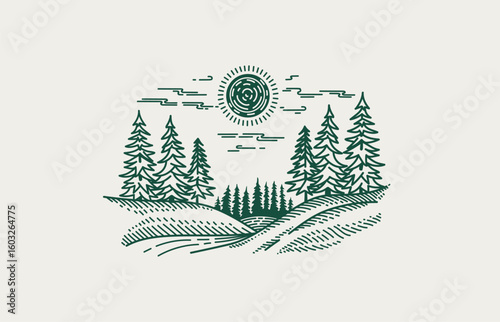 Simple vector line art illustration of Sunny Forest Landscape. Forest scene with rolling hills, tall pine, spruce trees, and a stylized sun in the sky.