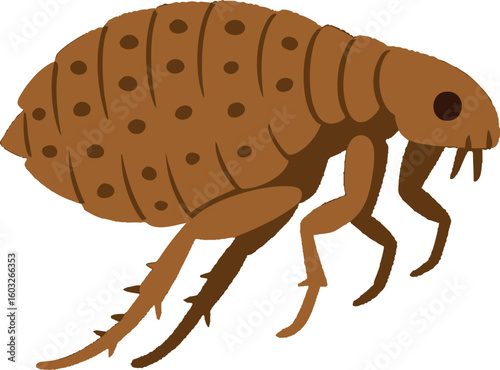 Flat vector flea in jumping pose, tiny with bumpy body, vector-friendly, isolated on white