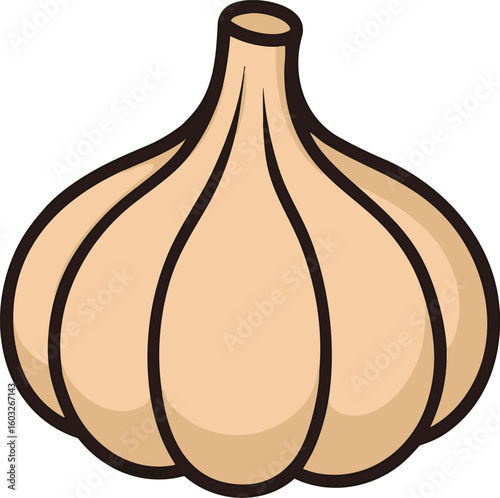Flat vector garlic bulb with cloves indicated by line divisions