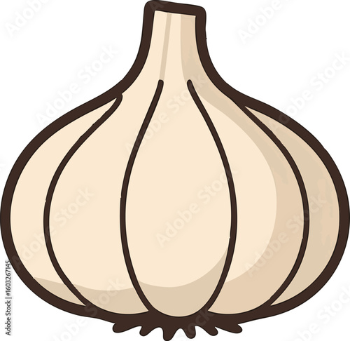 Flat vector garlic bulb with cloves indicated by line divisions