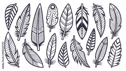 Elegant Feather Collection with Intricate Details Perfect for Bohemian Design and Artistic Projects a Vector Illustration for Creative Applications